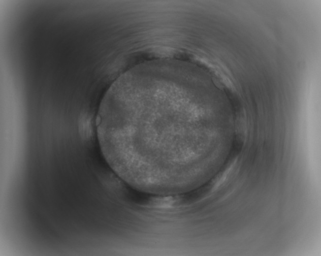 X0000101710131200807311459