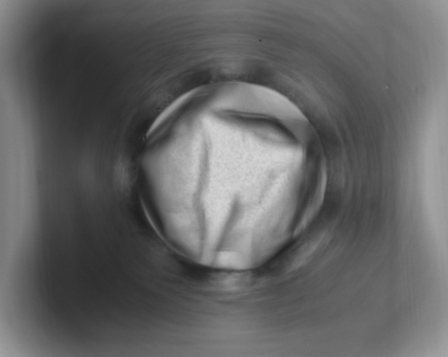 X0000101710135200807311459