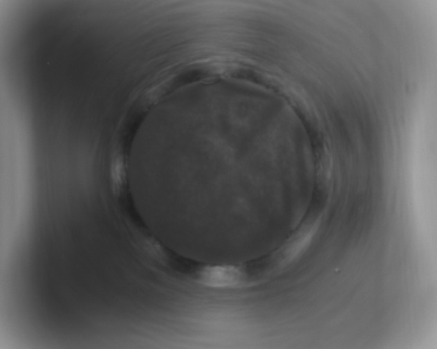 X0000101710137200807311459