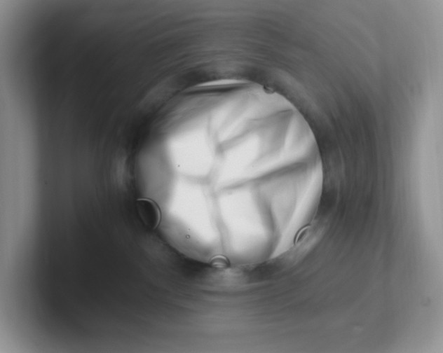 X0000101710140200807311459