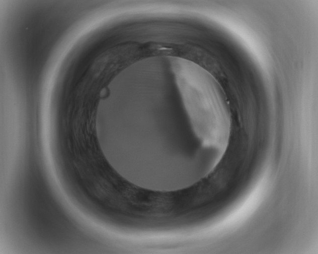 X0000101710143200807311459