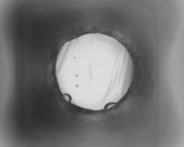 X0000101710144200807311459