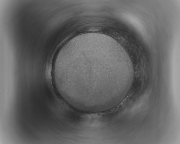 X0000101710146200807311459