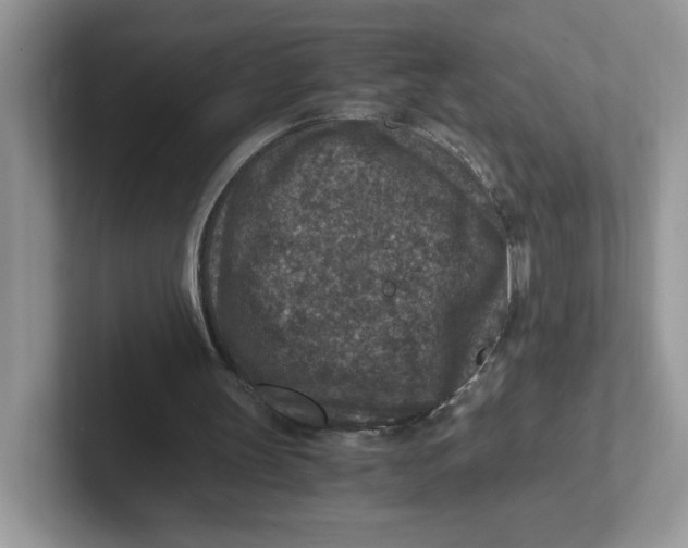 X0000101710147200807311459