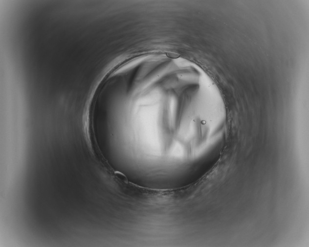 X0000101710148200807311459