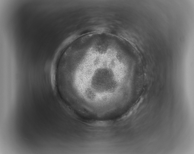 X0000101710149200807311459
