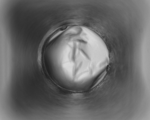 X0000101710150200807311459