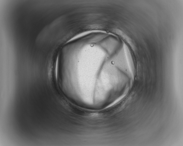 X0000101710153200807311459