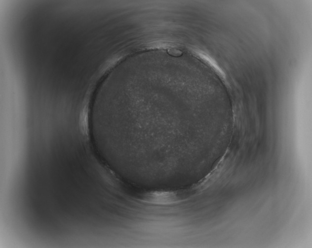 X0000101710154200807311459