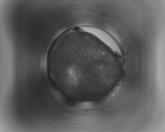 X0000101710156200807311459