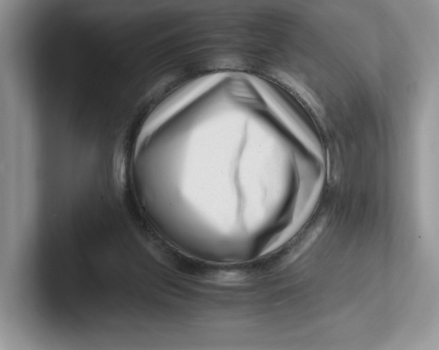 X0000101710157200807311459