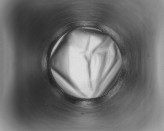 X0000101710158200807311459