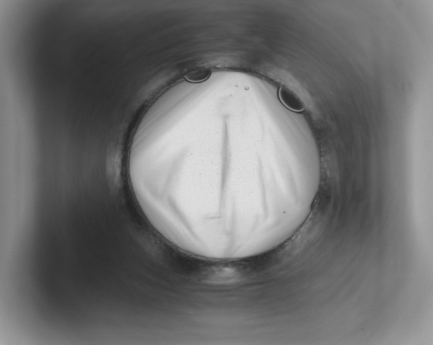 X0000101710159200807311459