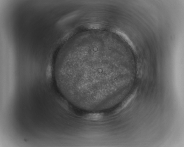 X0000101710161200807311459