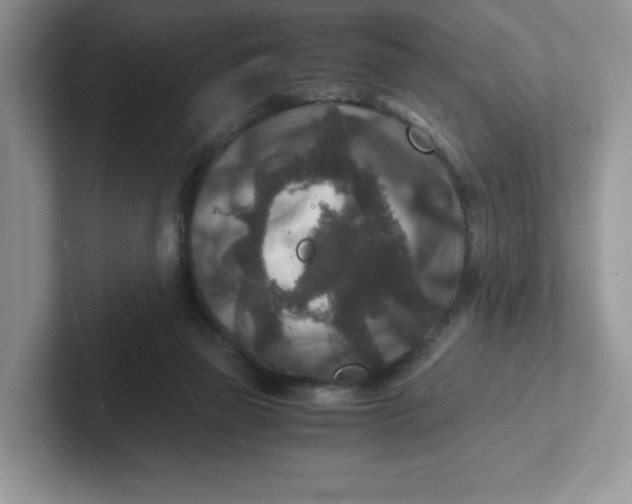 X0000101710165200807311459