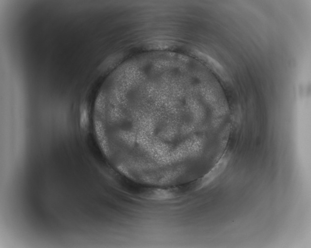 X0000101710166200807311459
