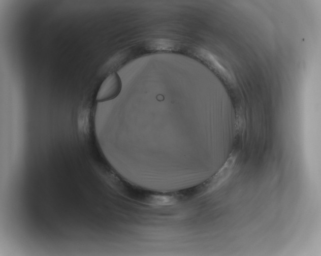 X0000101710167200807311459