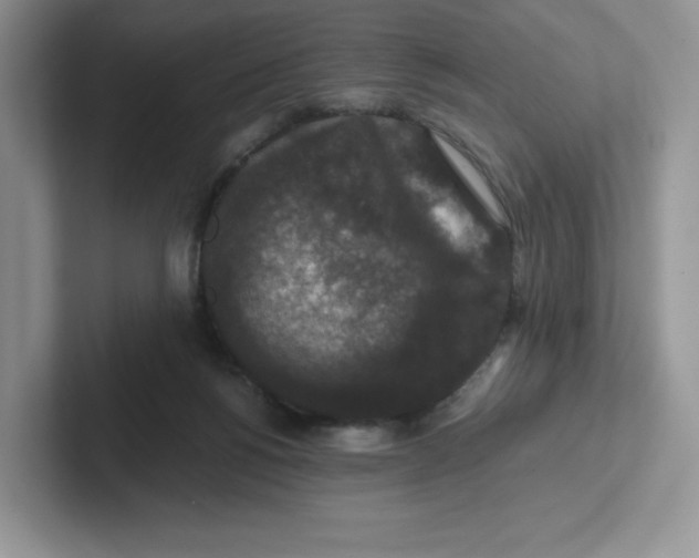 X0000101710168200807311459