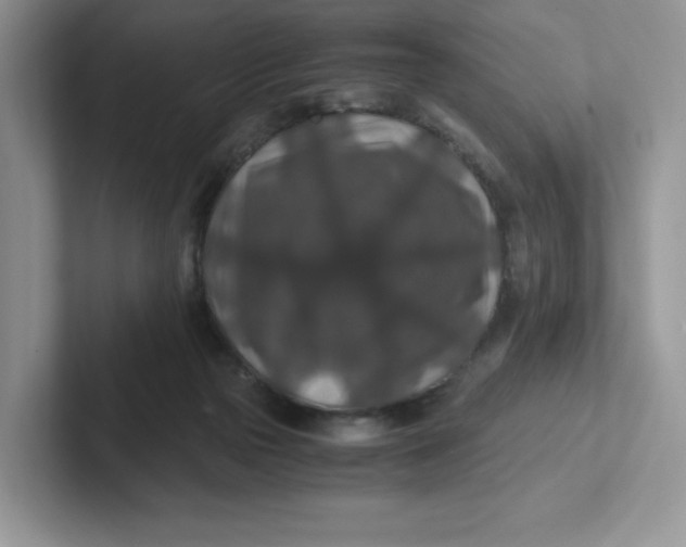 X0000101710169200807311459
