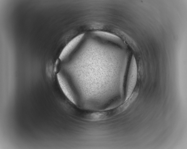 X0000101710172200807311459