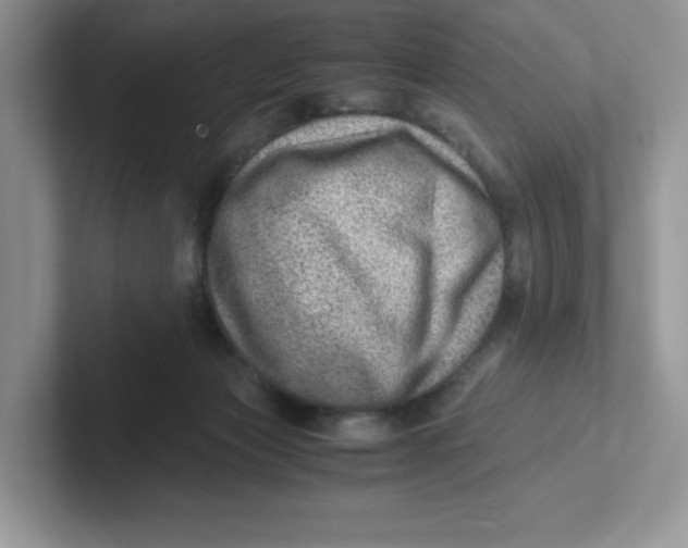 X0000101710173200807311459