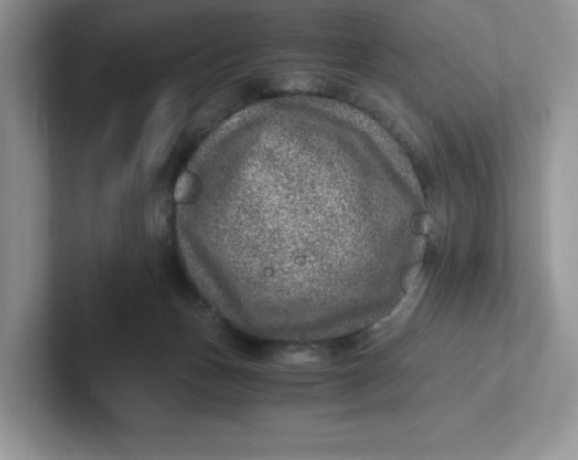 X0000101710175200807311459