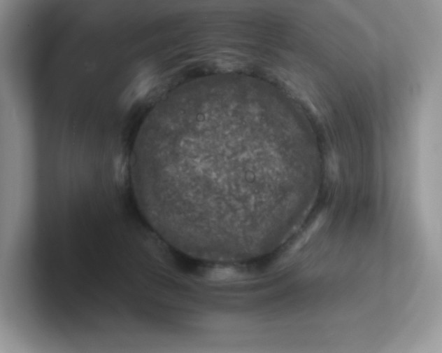 X0000101710177200807311459