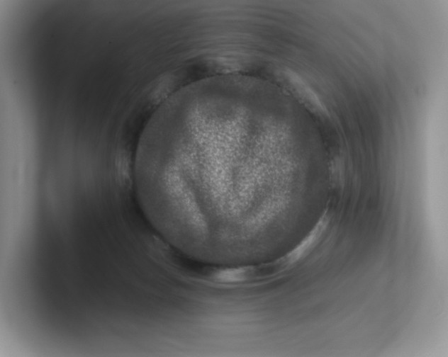X0000101710178200807311459