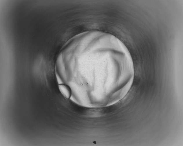 X0000101710179200807311459