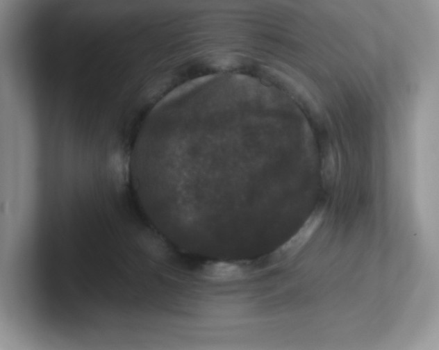 X0000101710180200807311459