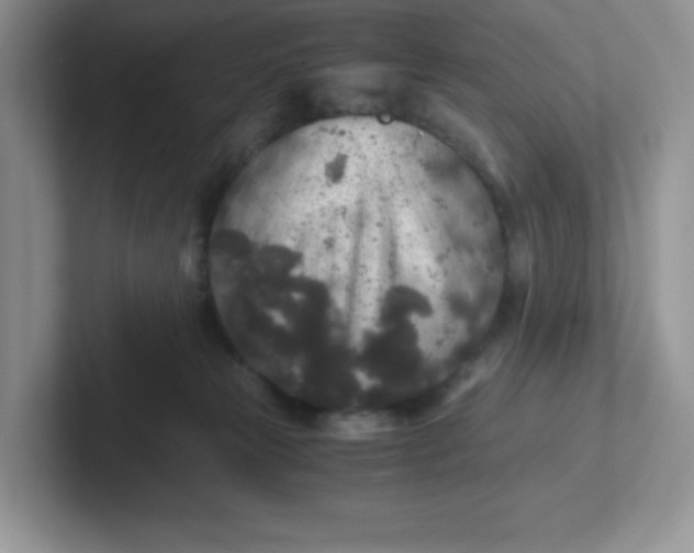 X0000101710181200807311459