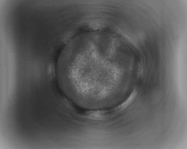 X0000101710182200807311459