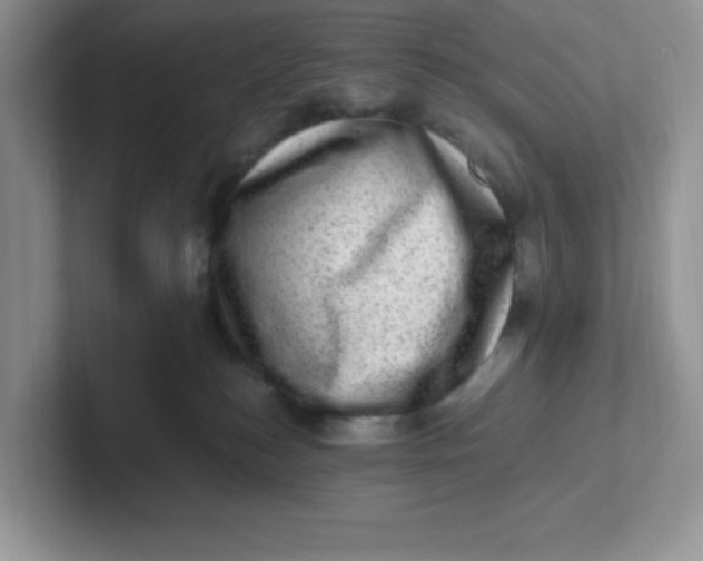 X0000101710184200807311459