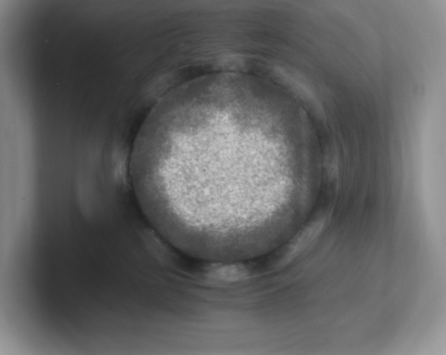 X0000101710185200807311459