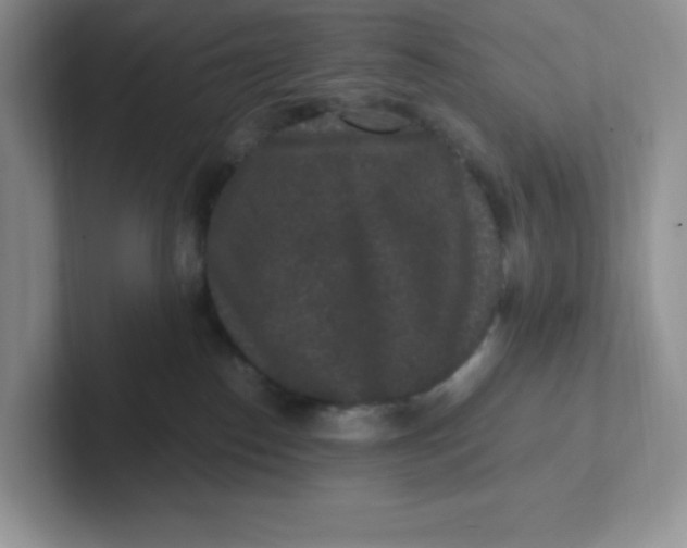 X0000101710186200807311459