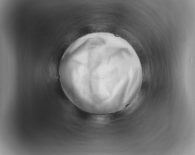 X0000101710187200807311459