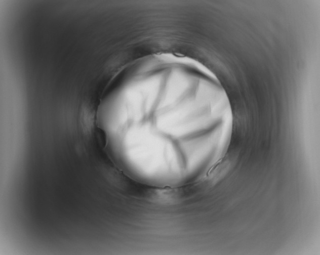 X0000101710188200807311459