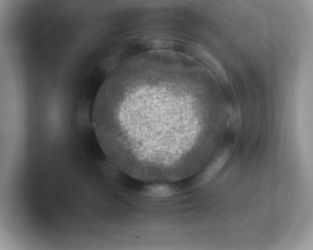 X0000101710189200807311459
