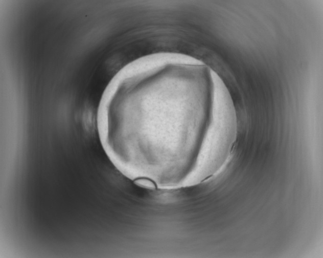 X0000101710191200807311459
