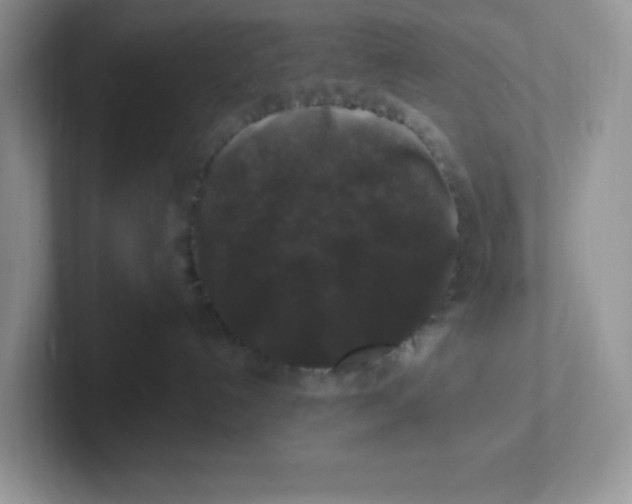 X0000101710192200807311459