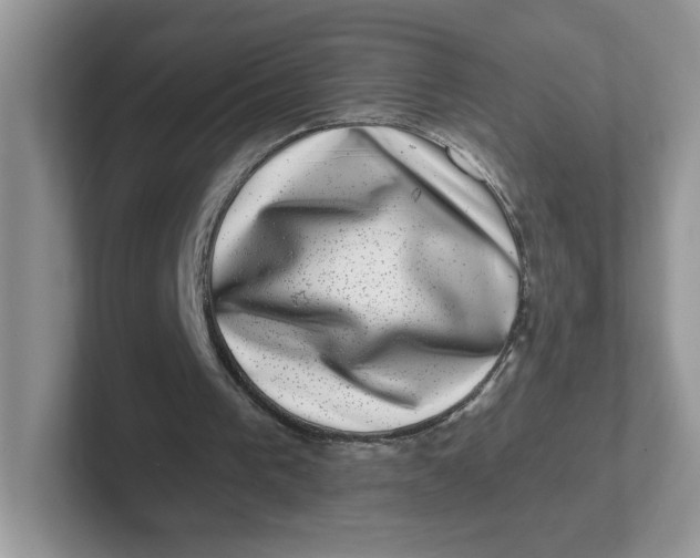 X0000101710193200807311458