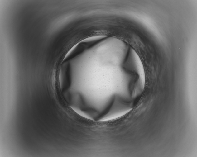 X0000101710194200807311458