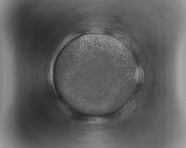 X0000101710195200807311458