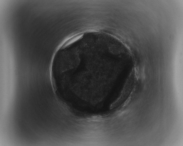 X0000101710196200807311458