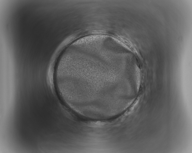 X0000101710197200807311458