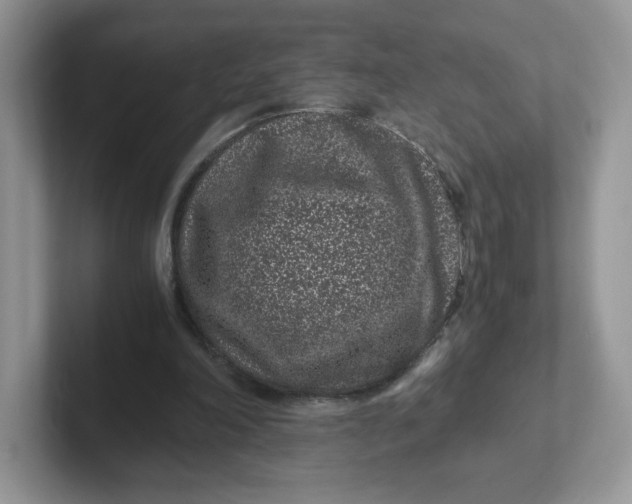 X0000101710198200807311458