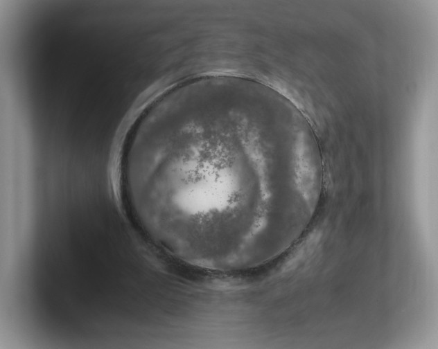 X0000101710199200807311458