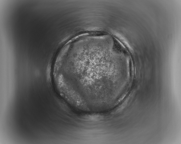 X0000101710201200807311458