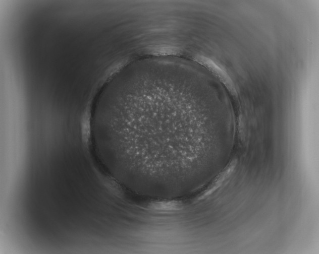 X0000101710202200807311458