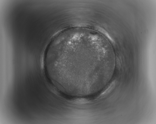 X0000101710203200807311458